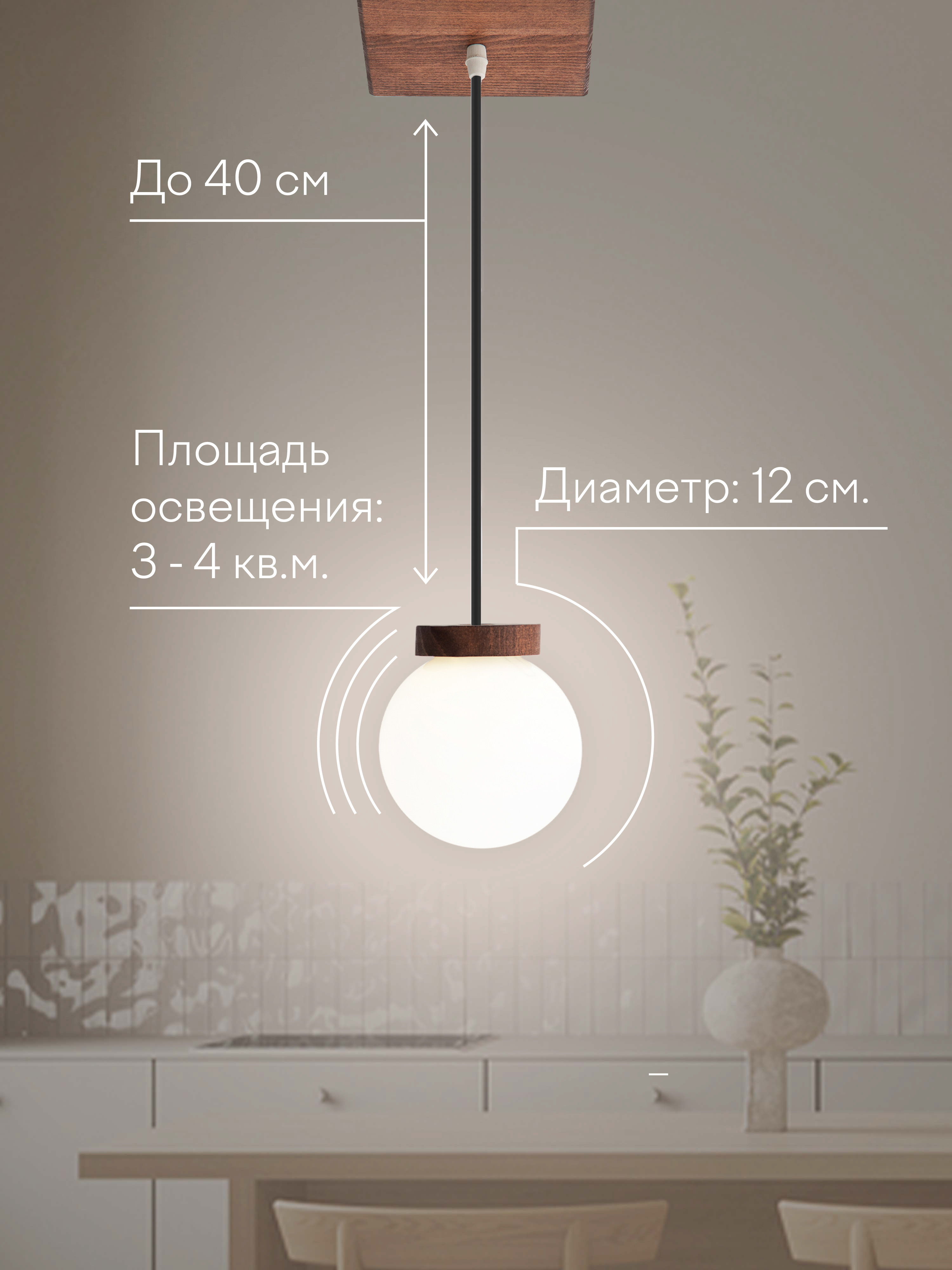 6426-1P PR 000039504