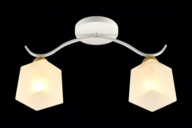 МС-XA1448B/2 WH+WD (10) светильник потолочный