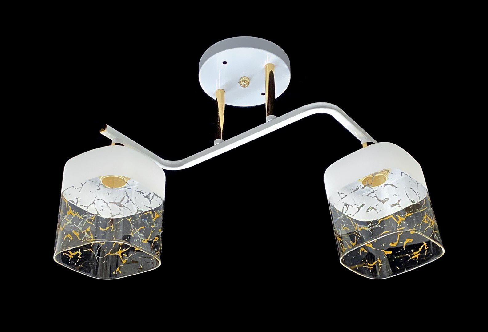 ДС2434A/2 WH+FG (6) светильник потолочный