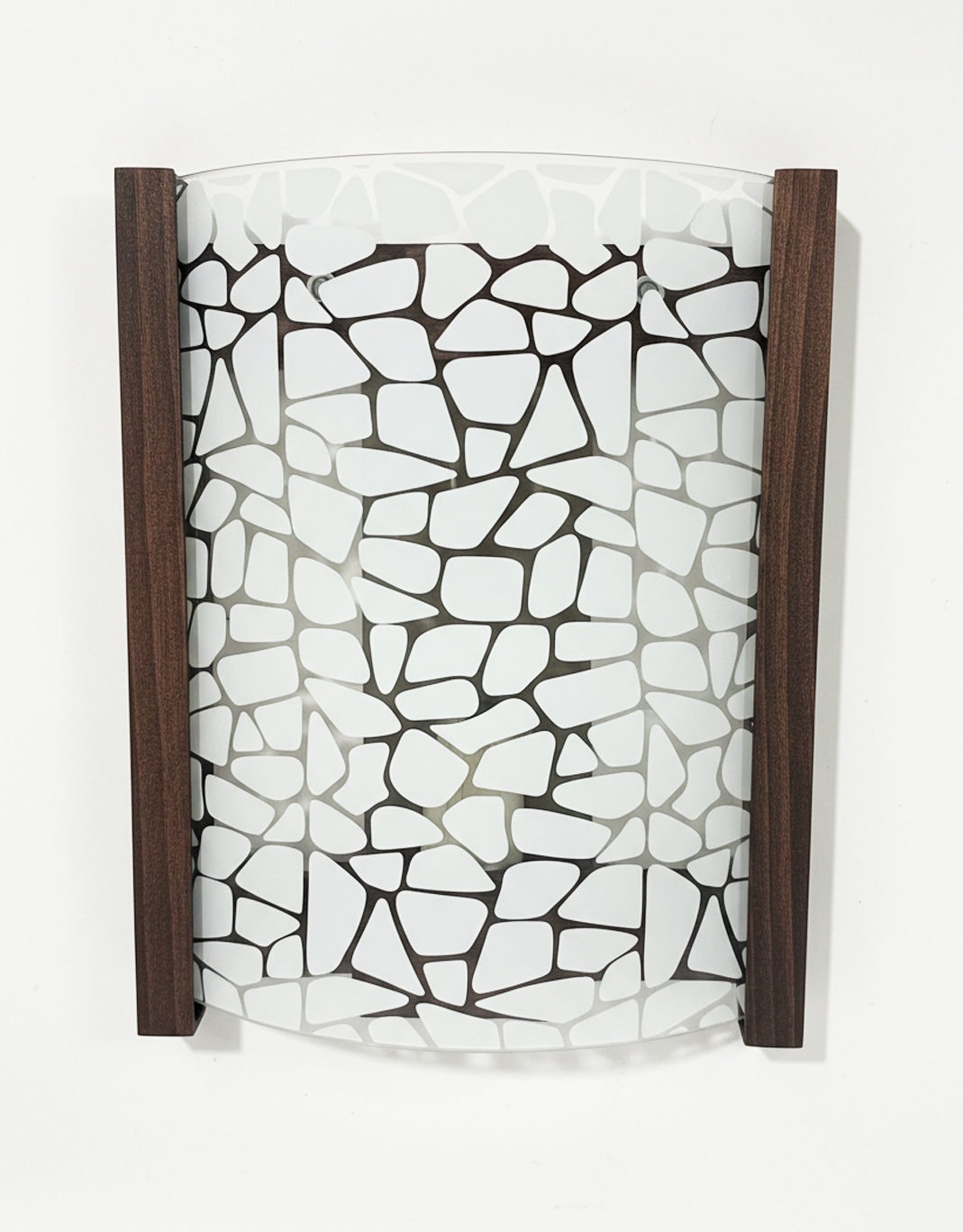 6423-Черепаха-1W WG 000050248