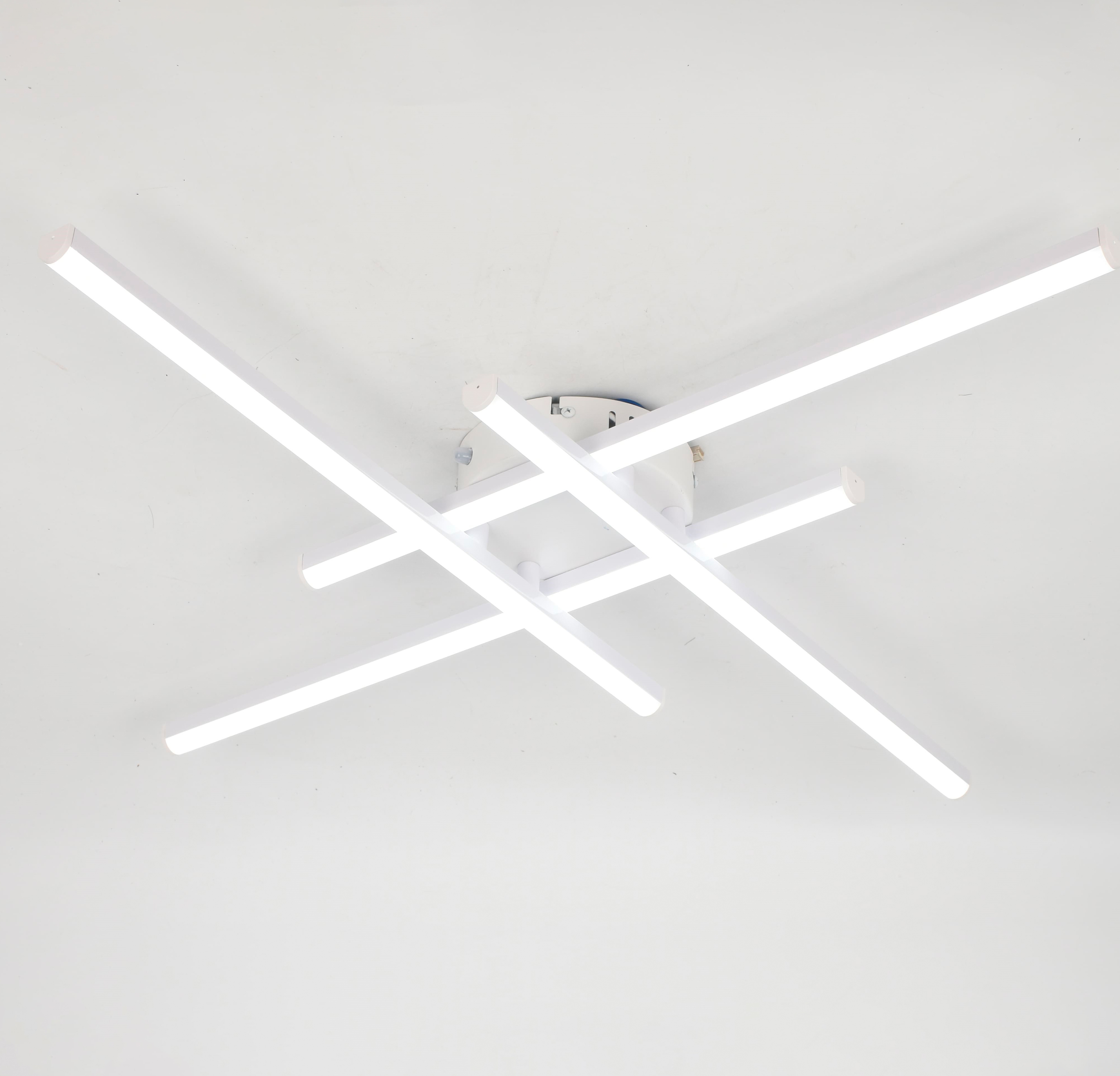 SS2196-4 WT 000085425