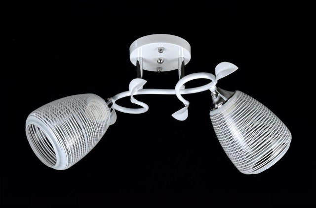 Д-W3047/2 WH+CR (10) светильник потолочный