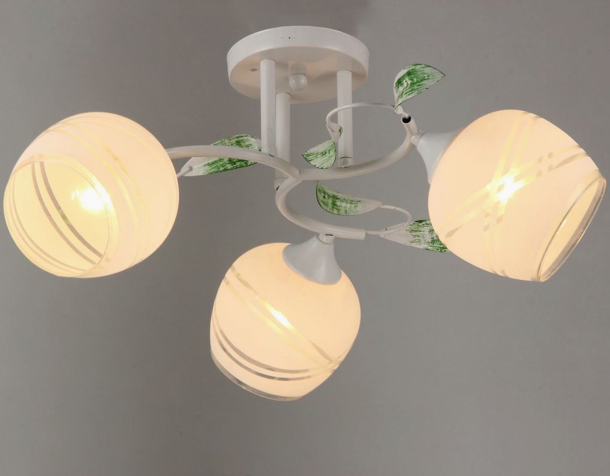 P6380-3 WT 000024282