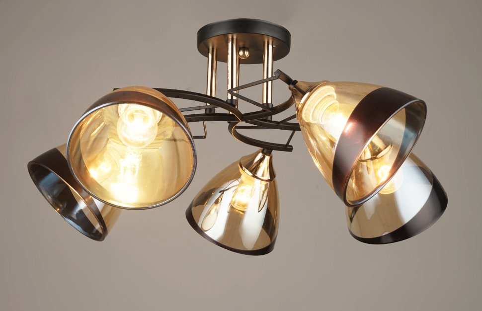 ВР-N4018/5 BK+FGD (4) светильник потолочный Акция [01098589]