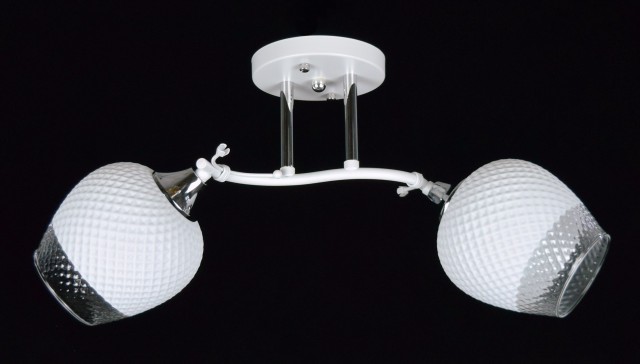 ВР-N4087/2 WT+CR (10) светильник потолочный