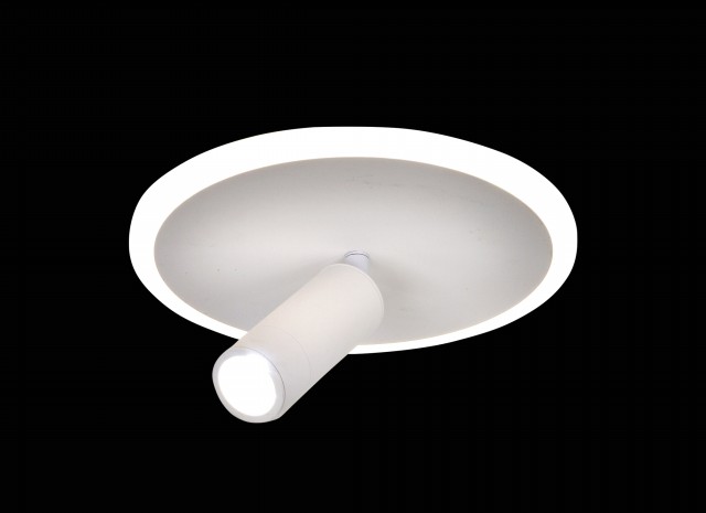 Х20649/1 WT LED24W 3000-4000-6000K Dimmer (5) светильник потолочный
