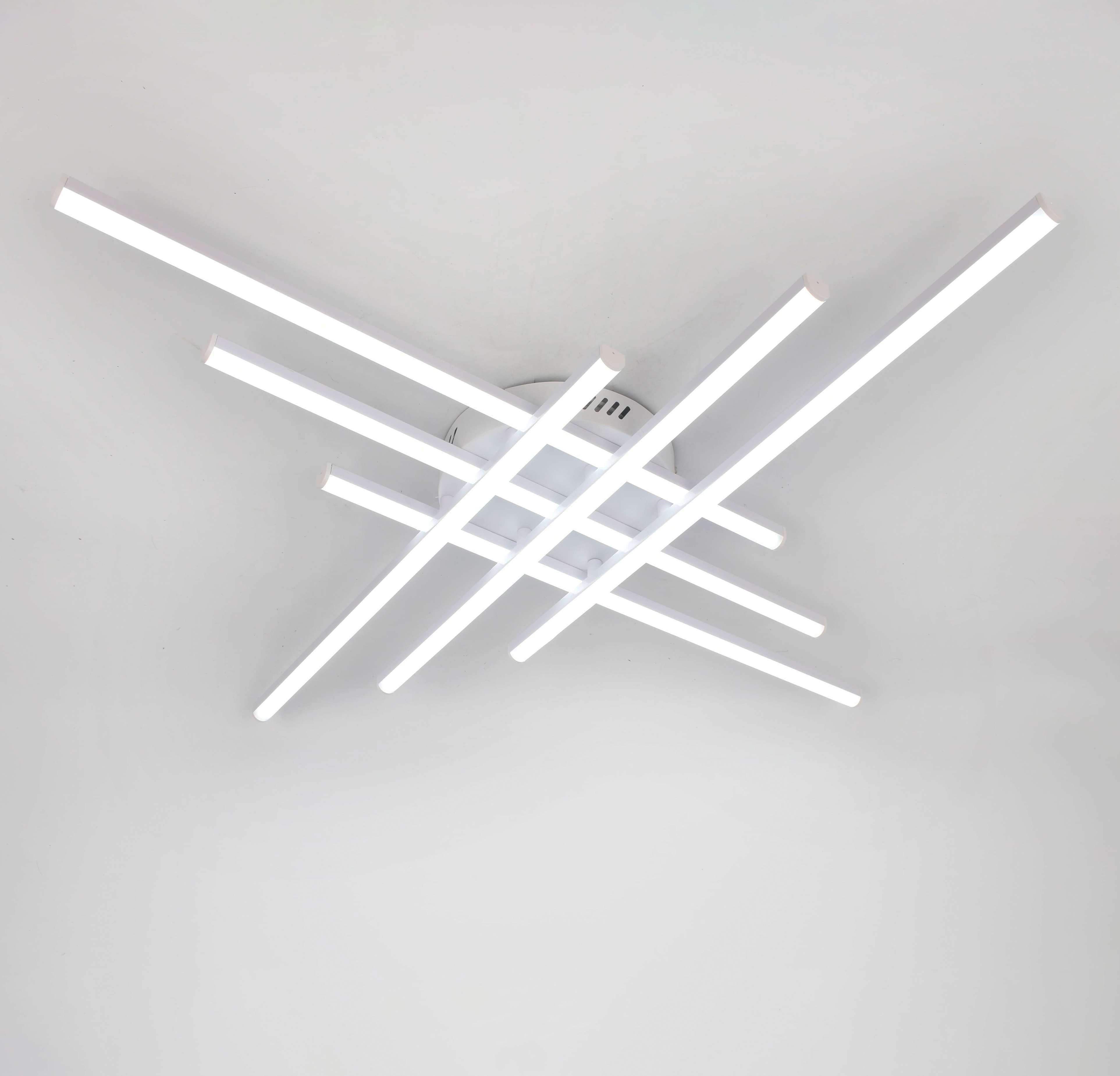 SS2196-6 WT 000085429