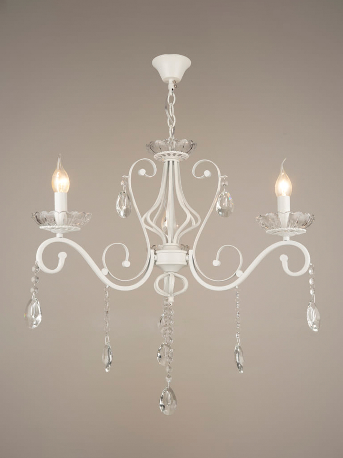 PP5544-3 WT 000029992