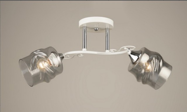 Д-W3051/2 WH+CR (10) светильник потолочный